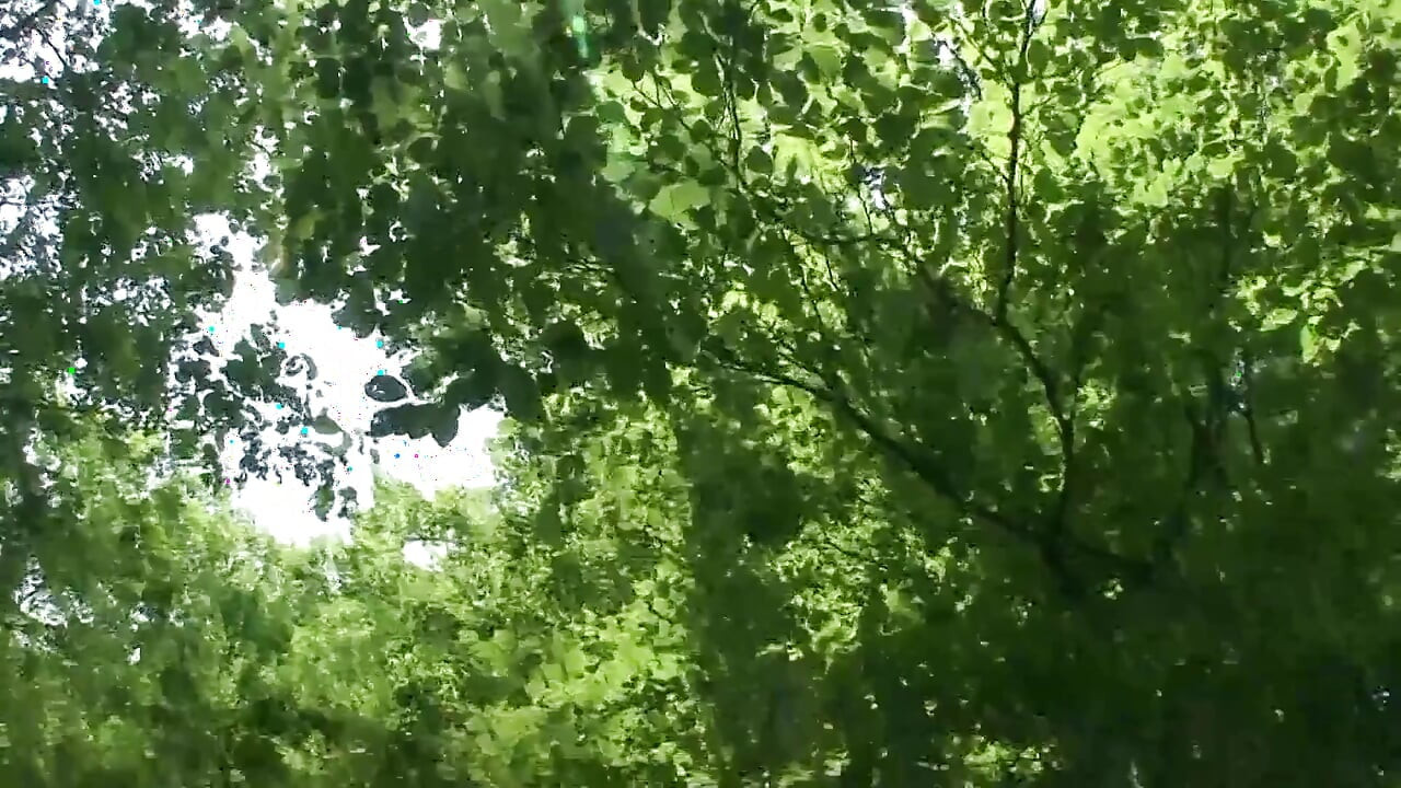 Outdoor fucking of hot milf