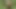 Pirang topless hot mengambil kencing panjang di rumput