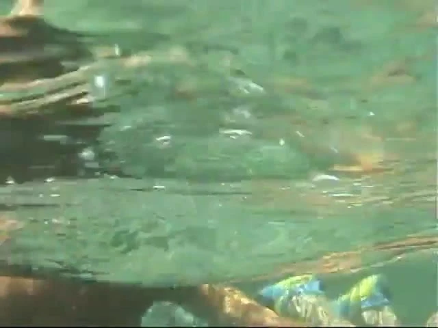 splendida sirena
