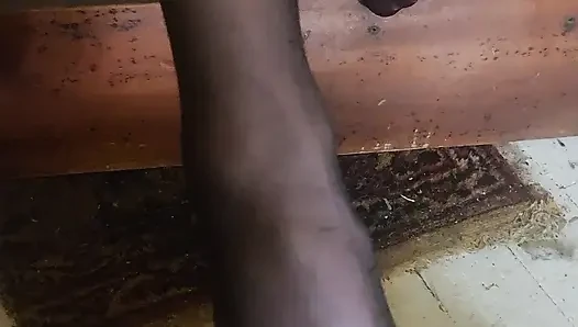 Goode Girl JOI Hump My Nylon Covered Leg Like the You Are