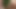 Wife loves vegetables, vaginal insertion