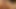 Sexhungriges Schätzchen Foxy fickt draußen unter der Sonne
