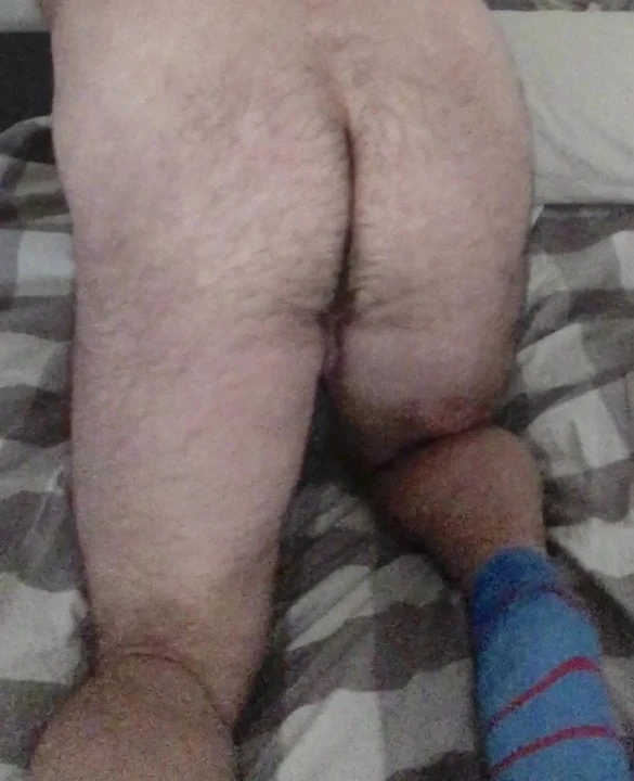 My Sweet Bear