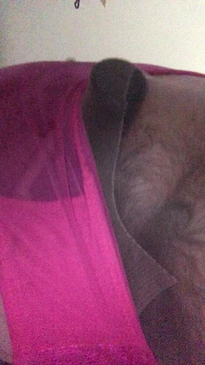 Toy in my ass