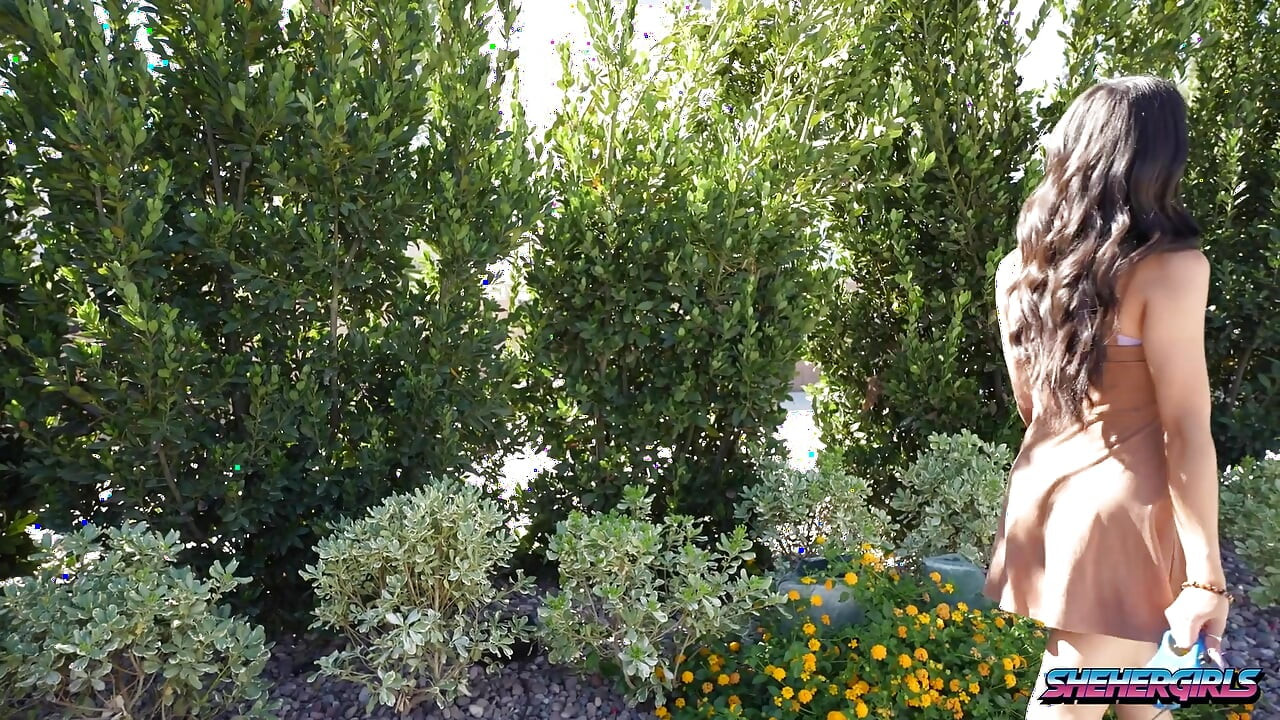 섹시한 소녀, 빨고 섹스하고 싶은 여자를 가져옵니다.  그녀는 그녀의 여자