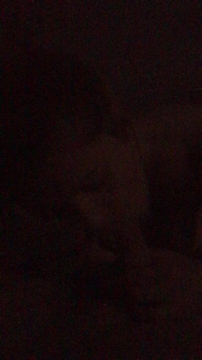 Wife sucking my cock