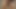 Happy cock slapping - 50+ hard smacks to my cock