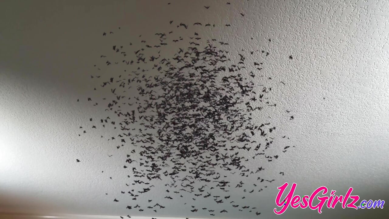 Halloween Special - Demi Morgan!