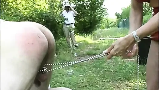 A Dirty MILF in the Park Gets Fucked and Fucked in the Ass by Her Young Friends