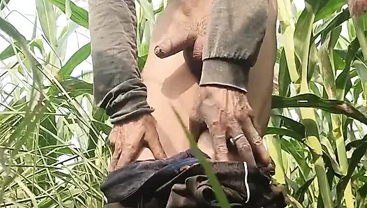 Mısır tarlasında yumruklamak eğlencelidir