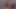 Gesichtsbesamung, dann steck deinen schwanz zurück in 7