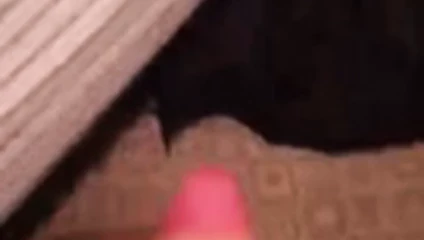 lanet benim cep kedi