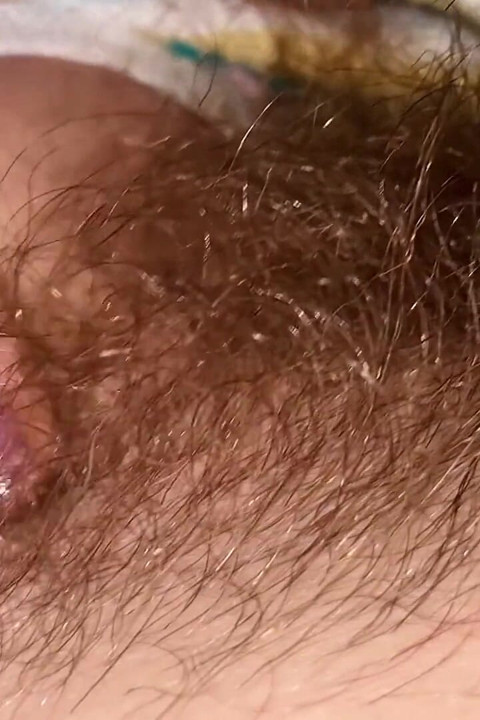 Super Thick and Long Plussy Hair Bush Closeup