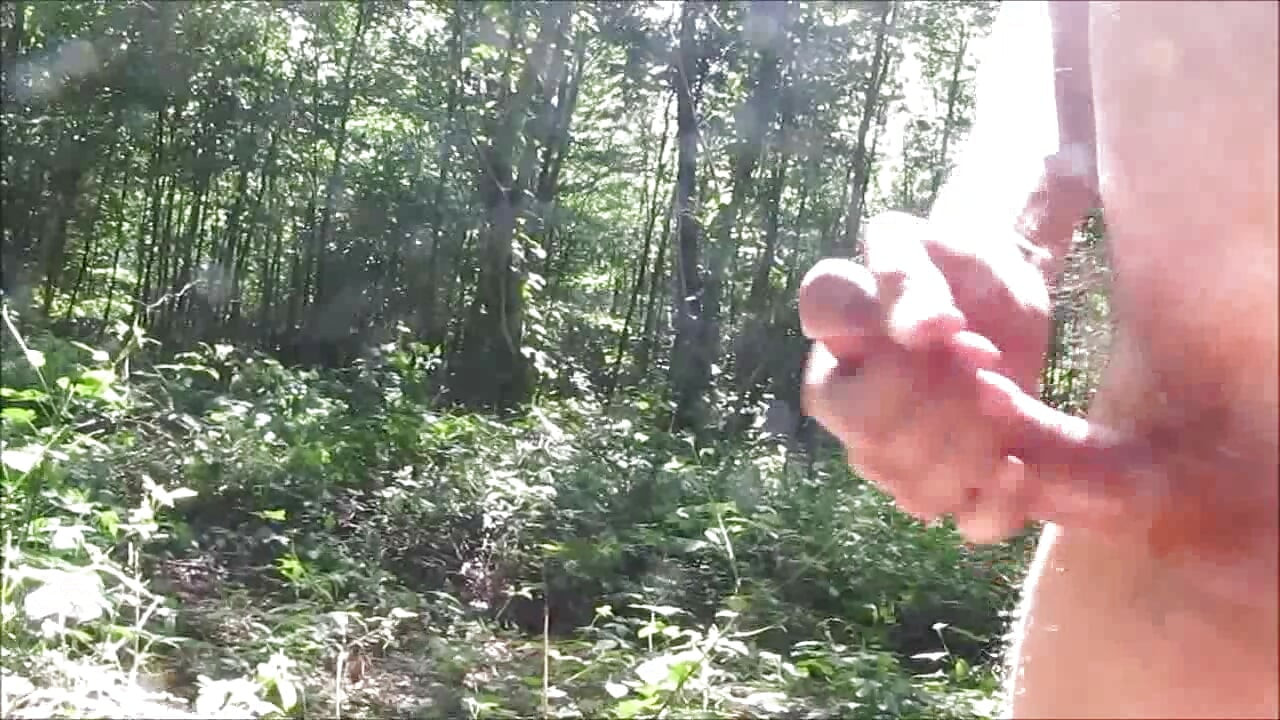 Public forest sperm fountain - loop version