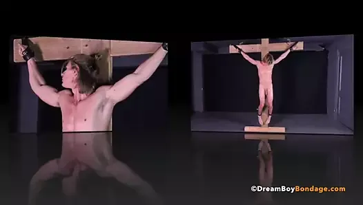 Non coupé, étalon musculaire, crucifixion, bdsm, bondage gay, accroché