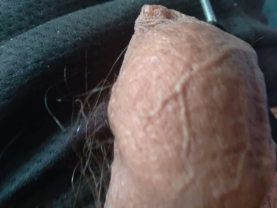 ควยสัตว์ประหลาดอยากให้คุณอมควยให้เขา