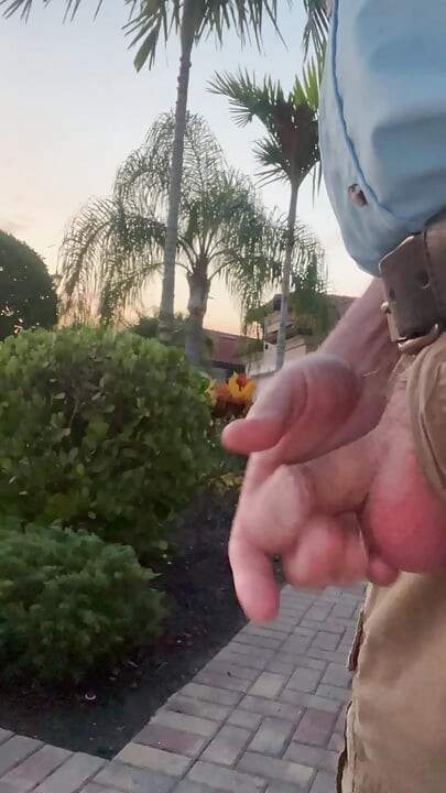 Another Walk To The Curb