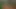 An Amateur Couple Shoot a Home Porno