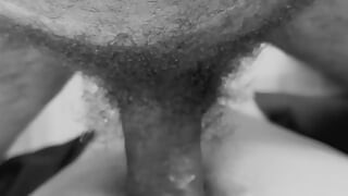 Lubang pantat basah cewek super hot ini dicrot di dalam