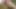 Alone dick in the forest