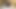 الملاك الآسيوي 25790