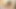 ハードコアなロマンチックなセックスをする美少女