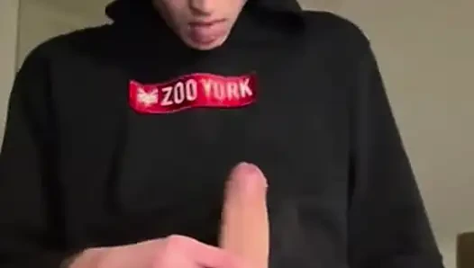 Büyük beyaz yarak