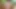 Indian Village Hot wife Homemade closeup shoot