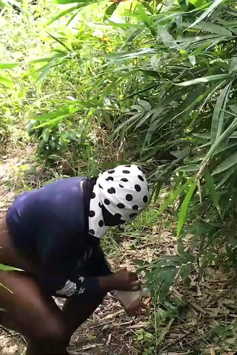Somewhere in Africa