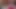 Lizzyyum VR February 2025 Fantasy Clit Boobs Pussy Dilating Bathing just edging #211