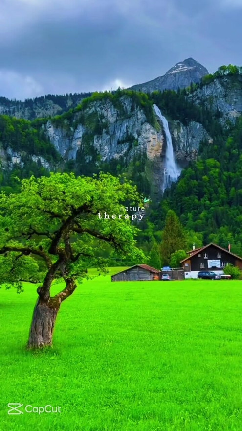 Nature