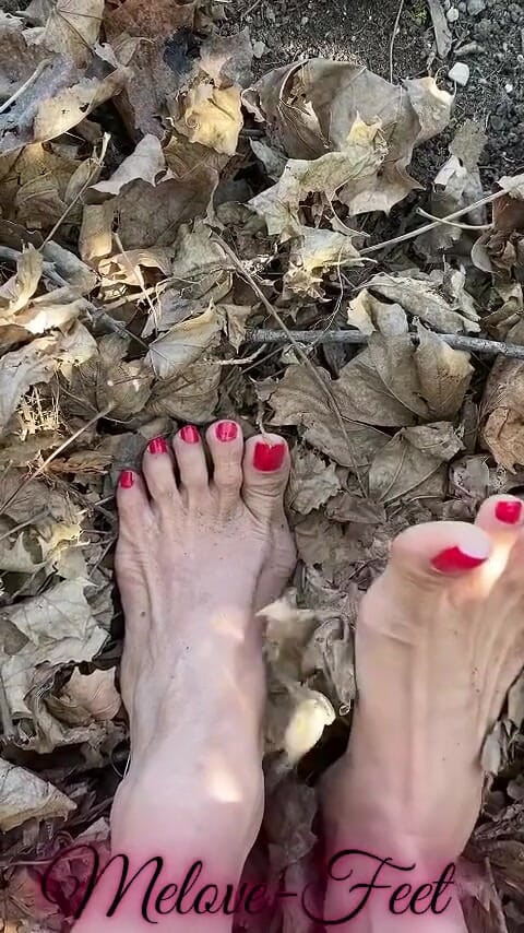 梅洛夫性感小腳，紅腳趾甲插在樹葉上 | 短片 1