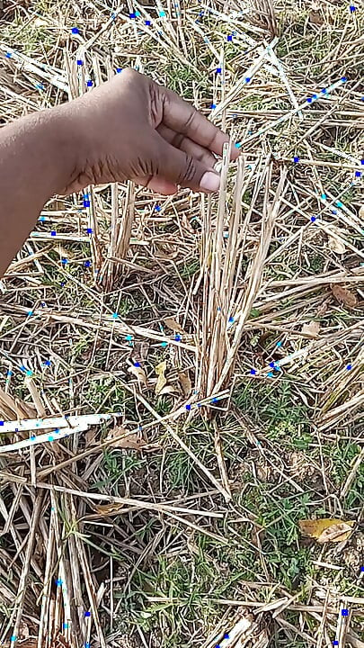 Chico gay bhabhi al aire libre masturbando el agujero del coño