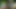 Get Laid In The Wonderland VR Conk