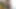 Все натуральные большие сиськи Scarlett Bloom, супер горячая чернокожая может трахаться и жестко кончить
