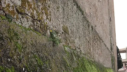 Крошку В Юбке Polka Dot Жестко Трахнули В Лесу