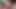 Art43212