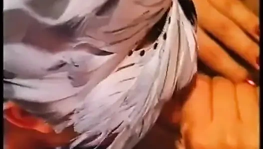 In Der Küche Und Im Esszimmer Genieße Ich Deinen Schwanz Zu Sehr