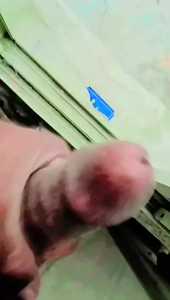 Bengali Sex Videos 🍆🍆🍆