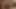 Dik bebek asa akira sürmek bir büyük horoz raw