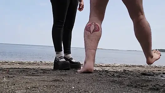 Gaspesie Cock Trampling