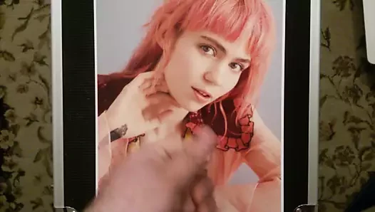 Dürüst grimes haraç 5