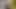 Alternatif dövmeli gençler çılgın oyuncaklarla birbirlerini sikiyor