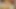 Strip and Slip Hump Masturbation