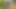 イッツクイーン・ファッキング・ジャクソン・ファック