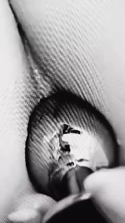 Anal Plug