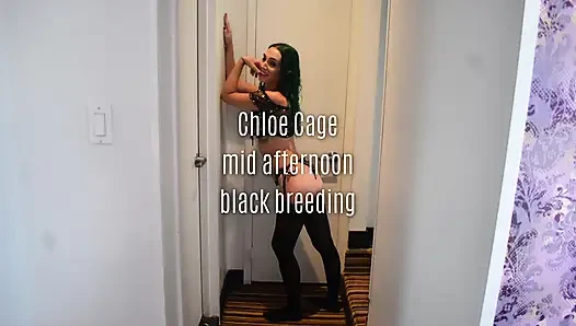 Chloe cage am nachmittag schwarze besamung