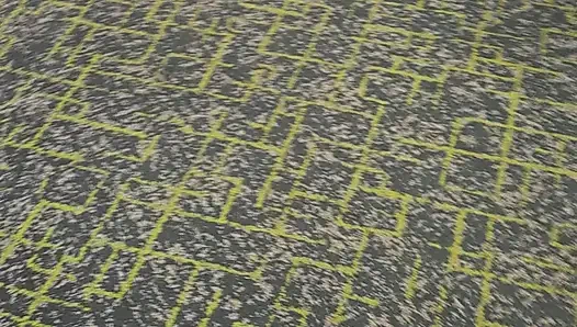 Naughty Elevator Ride Will She Get Caught?