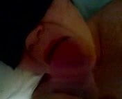 stuffed