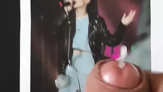 Lena mayer arazi haraç